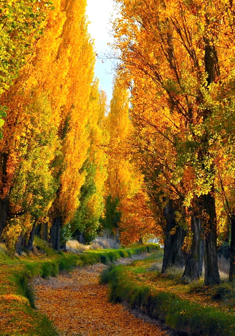 Нам бы понять...